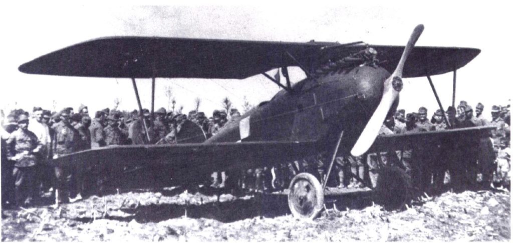 Albatros (Oeffag) D.III Stefana Steca z Flik 3/J. Front włoski Wielkiej Wojny, lato 1918 r. 